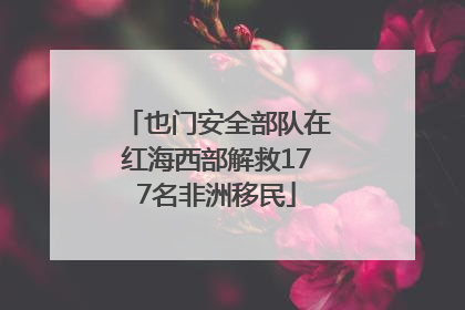也门安全部队在红海西部解救177名非洲移民