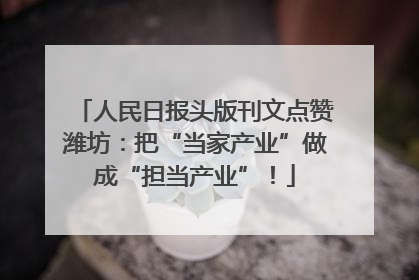 人民日报头版刊文点赞潍坊：把“当家产业”做成“担当产业”！