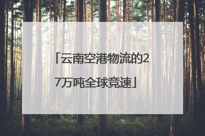 云南空港物流的27万吨全球竞速