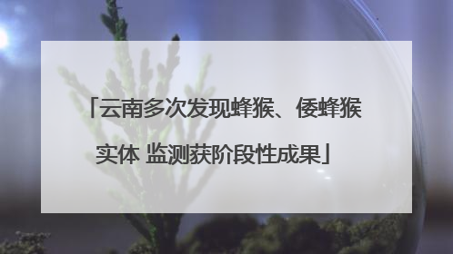 云南多次发现蜂猴、倭蜂猴实体 监测获阶段性成果