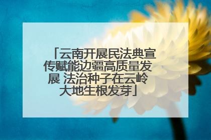 云南开展民法典宣传赋能边疆高质量发展 法治种子在云岭大地生根发芽