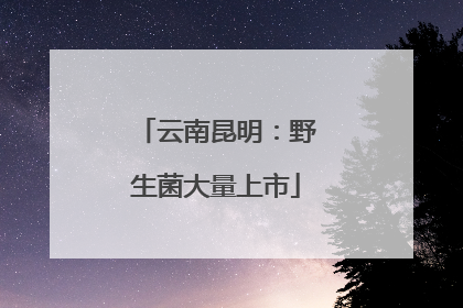 云南昆明：野生菌大量上市