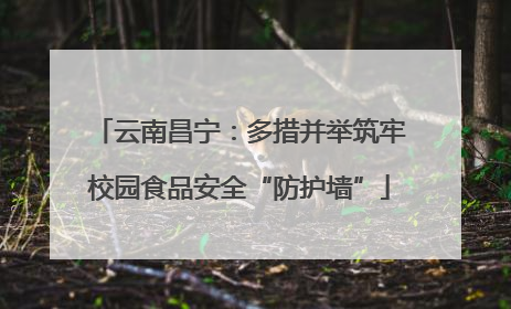 云南昌宁：多措并举筑牢校园食品安全“防护墙”