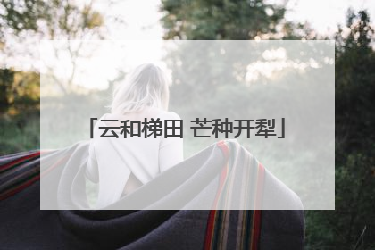 云和梯田 芒种开犁