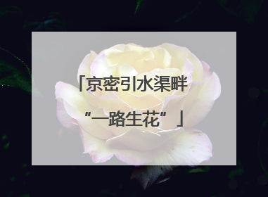 京密引水渠畔“一路生花”