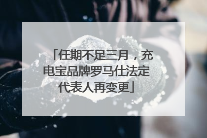 任期不足三月，充电宝品牌罗马仕法定代表人再变更