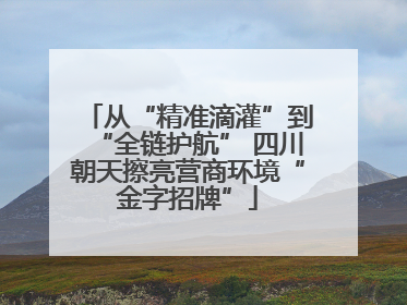 从“精准滴灌”到“全链护航” 四川朝天擦亮营商环境“金字招牌”