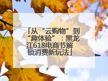 从“云购物”到“趣体验”：黑龙江618电商节解锁消费新玩法