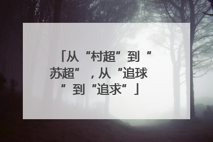 从“村超”到“苏超”，从“追球”到“追求”