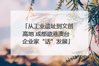 从工业遗址到文创高地 成都邀港澳台企业家“话”发展