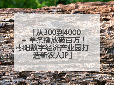 从300到4000+ 单条播放破百万！枣阳数字经济产业园打造新农人IP