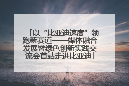 以“比亚迪速度”领跑新赛道——媒体融合发展暨绿色创新实践交流会首站走进比亚迪
