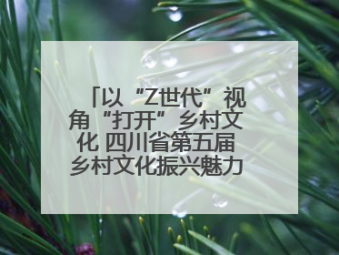 以“Z世代”视角“打开”乡村文化 四川省第五届乡村文化振兴魅力竞演大赛启动
