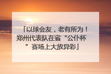 以球会友，老有所为！郑州代表队在省“公仆杯”赛场上大放异彩