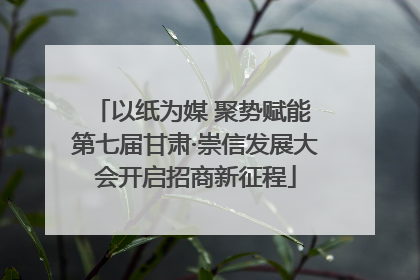 以纸为媒 聚势赋能 第七届甘肃·崇信发展大会开启招商新征程