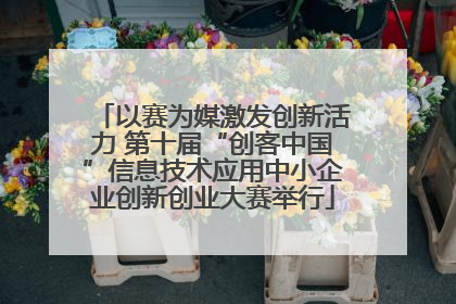 以赛为媒激发创新活力 第十届“创客中国”信息技术应用中小企业创新创业大赛举行