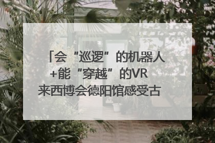 会“巡逻”的机器人+能“穿越”的VR 来西博会德阳馆感受古蜀文明与现代智造的时空对话｜西博视界