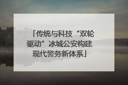 传统与科技“双轮驱动”冰城公安构建现代警务新体系