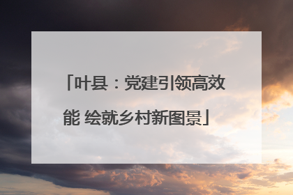 叶县：党建引领高效能 绘就乡村新图景