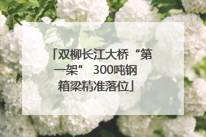 双柳长江大桥“第一架” 300吨钢箱梁精准落位