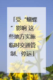 受“蝴蝶”影响 这些地方实施临时交通管制、停运