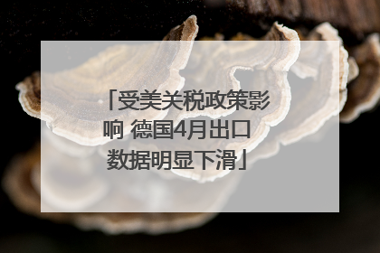 受美关税政策影响 德国4月出口数据明显下滑
