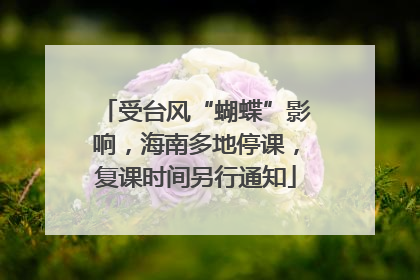 受台风“蝴蝶”影响，海南多地停课，复课时间另行通知