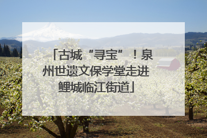 古城“寻宝”！泉州世遗文保学堂走进鲤城临江街道