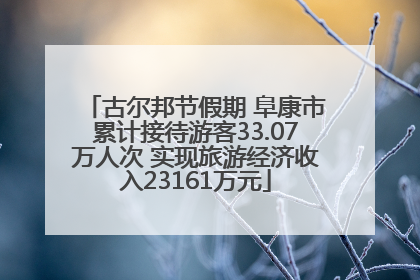 古尔邦节假期 阜康市累计接待游客33.07万人次 实现旅游经济收入23161万元