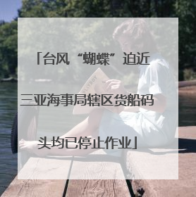 台风“蝴蝶”迫近 三亚海事局辖区货船码头均已停止作业