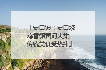 史口镇：史口烧鸡香飘黄河大集 传统美食受热捧