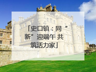 史口镇：同“新”迎端午 共筑活力家