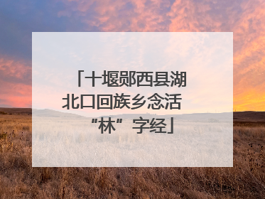 十堰郧西县湖北口回族乡念活“林”字经