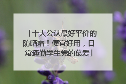 十大公认最好平价的防晒霜！便宜好用，日常通勤学生党的蕞爱
