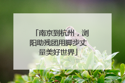 南京到杭州，浏阳助残团用脚步丈量美好世界
