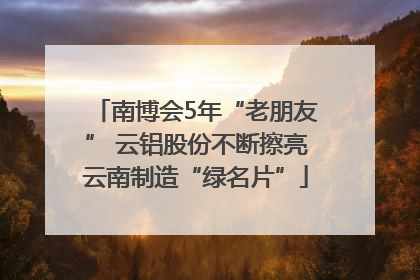 南博会5年“老朋友” 云铝股份不断擦亮云南制造“绿名片”