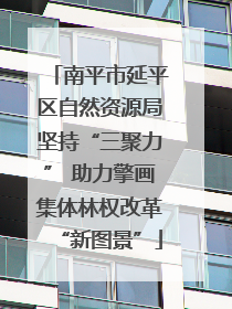 南平市延平区自然资源局坚持“三聚力” 助力擎画集体林权改革“新图景”