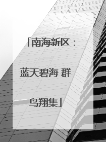 南海新区：蓝天碧海 群鸟翔集