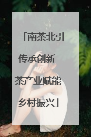 南茶北引传承创新 茶产业赋能乡村振兴