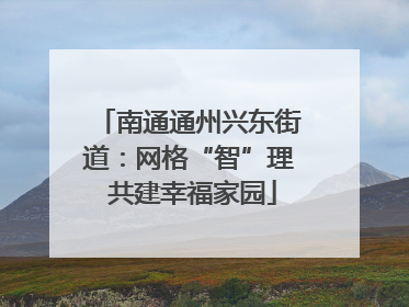 南通通州兴东街道：网格“智”理 共建幸福家园