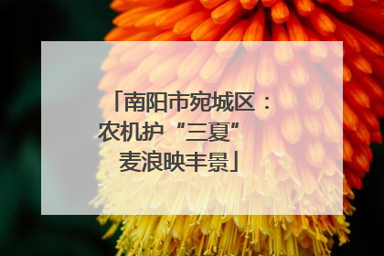 南阳市宛城区：农机护“三夏” 麦浪映丰景