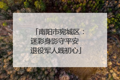 南阳市宛城区：迷彩身影守平安 退役军人践初心