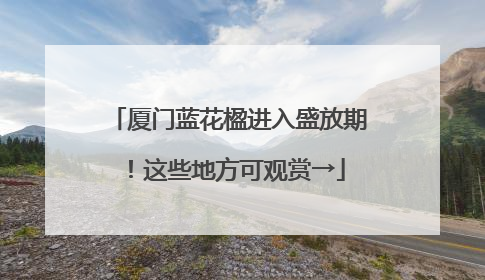 厦门蓝花楹进入盛放期！这些地方可观赏→