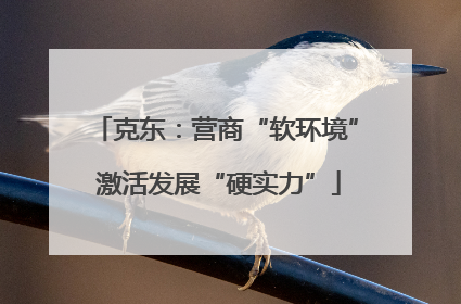 克东：营商“软环境” 激活发展“硬实力”