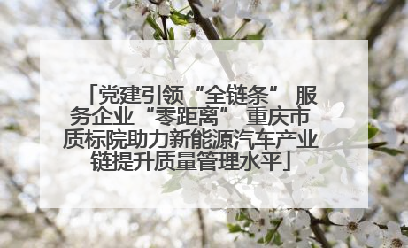 党建引领“全链条” 服务企业“零距离” 重庆市质标院助力新能源汽车产业链提升质量管理水平