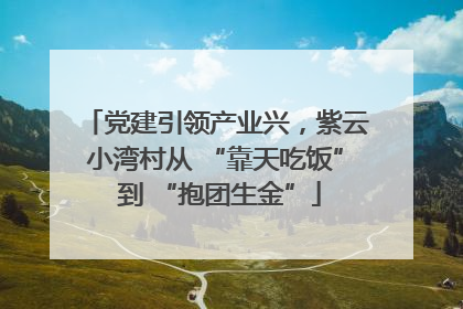 党建引领产业兴，紫云小湾村从 “靠天吃饭” 到 “抱团生金”