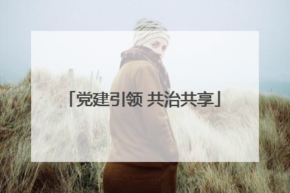 党建引领 共治共享