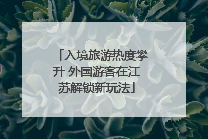 入境旅游热度攀升 外国游客在江苏解锁新玩法