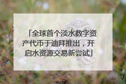 全球首个淡水数字资产代币于迪拜推出，开启水资源交易新尝试