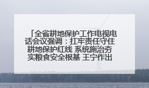 全省耕地保护工作电视电话会议强调：扛牢责任守住耕地保护红线 系统施治夯实粮食安全根基 王宁作出批示 王予波出席并讲话